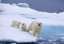 POLAR WATER OPERATIONAL MANUAL