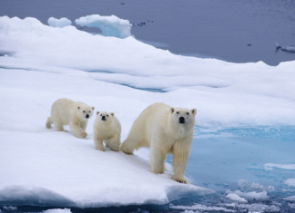 POLAR WATER OPERATIONAL MANUAL