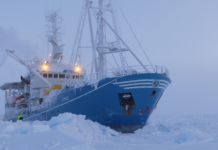 MANNING AND TRAINING REQUIREMENTS FOR THE CREW WORKING IN POLAR REGION