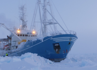 MANNING AND TRAINING REQUIREMENTS FOR THE CREW WORKING IN POLAR REGION