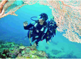 CODES AND CONVENTIONS QUESTIONS & ANSWERS PART-20