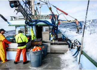 COMMERCIAL FISHERMEN: CHRONIC HEALTH RISKS