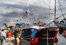 DEEP-SEA FISHING BAN THREATENS ECONOMIC VIABILITY OF EU LONGLINE FLEET