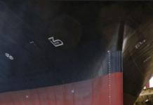 NEW CATEGORIES OF SERVICE SUPPLIERS: UNDERWATER BIOFOULING INSPECTIONS AND HULL CLEANING ACTIVITIES