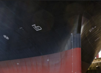 NEW CATEGORIES OF SERVICE SUPPLIERS: UNDERWATER BIOFOULING INSPECTIONS AND HULL CLEANING ACTIVITIES