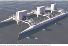 UK FIRM RAISES ALMOST $1.6M TO SCALE DOLPHIN-INSPIRED TIDAL ENERGY TECH