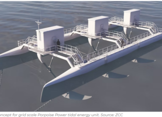 UK FIRM RAISES ALMOST $1.6M TO SCALE DOLPHIN-INSPIRED TIDAL ENERGY TECH