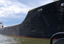 UKRAINE ARRESTS SHIP AND DETAINS CREW ACCUSED OF LOOTING GRAIN FROM CRIMEA