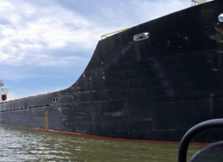 UKRAINE ARRESTS SHIP AND DETAINS CREW ACCUSED OF LOOTING GRAIN FROM CRIMEA