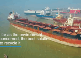 THE HONG KONG INTERNATIONAL CONVENTION FOR THE SAFE AND ENVIRONMENTALLY SOUND RECYCLING OF SHIPS