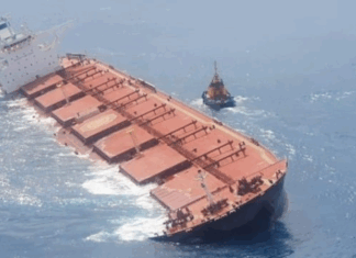 BULKER SAFETY IMPROVES AS SECTOR CONTINUES STRONG GROWTH
