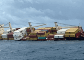 INDIA DETAINS MSC SHIP AS IT SEEKS $1B IN COMPENSATION FOR MSC ELSA 3
