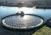 FLOATING SOLAR-POWERED SYSTEM REPLACES DIESEL AT SALMON PEN IN CHILE