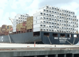 CHIEF ENGINEER PLEADS GUILTY IN 2024 MSC RUNAWAY INCIDENT IN CHARLESTON