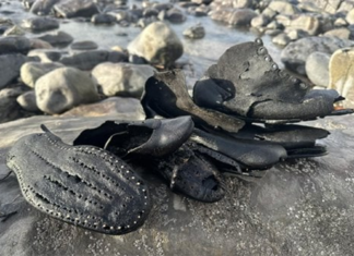 MYSTERY AS A CARGO OF SHOES LIKELY LOST 150 YEARS AGO WASHES UP IN WALES