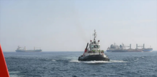 THE IRAN WAR AND GLOBAL TRADE: WILL THE CAPE ROUTE BECOME THE NEW NORMAL?