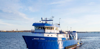 TDI-BROOKS TAKES ON SURVEY WORK FOR US LNG PROJECT IN LOUISIANA