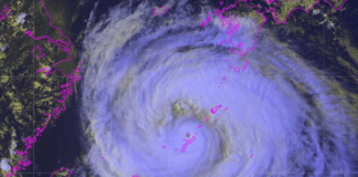 SHIPPING MOVES OUT OF THE WAY AS TYPHOON DOLPHIN NEARS CHINA